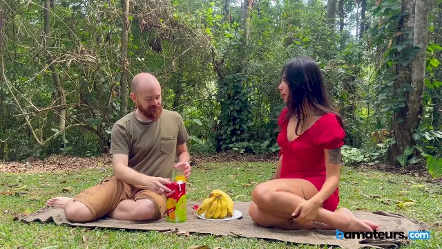 Preview of Picnic XXX
